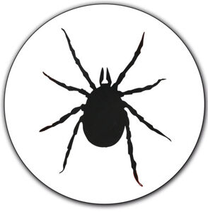 Tick_400