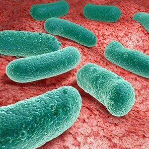 microbiome, cause of ADHD