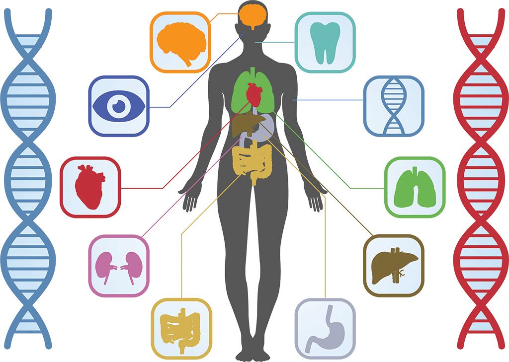 Treating PANS/PANDAS with Functional Medicine