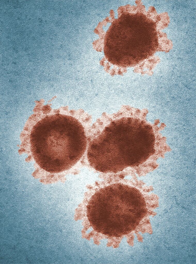 Virus Image